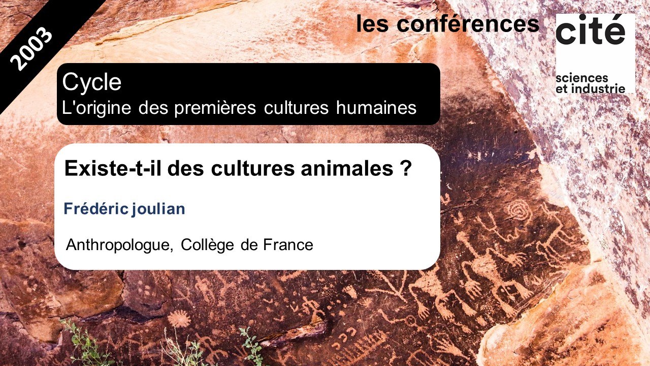 La main et l'outil : Existe-t-il des cultures animales ?