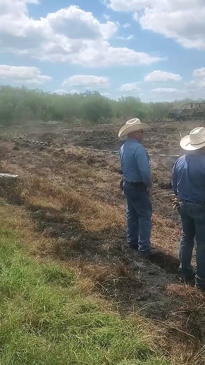 Anchor Chain Brush Clearing