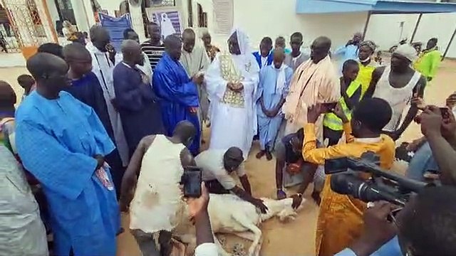Magal de Touba: Serigne Abdou Samad Souhaïbou 3gorge un mouton pour...