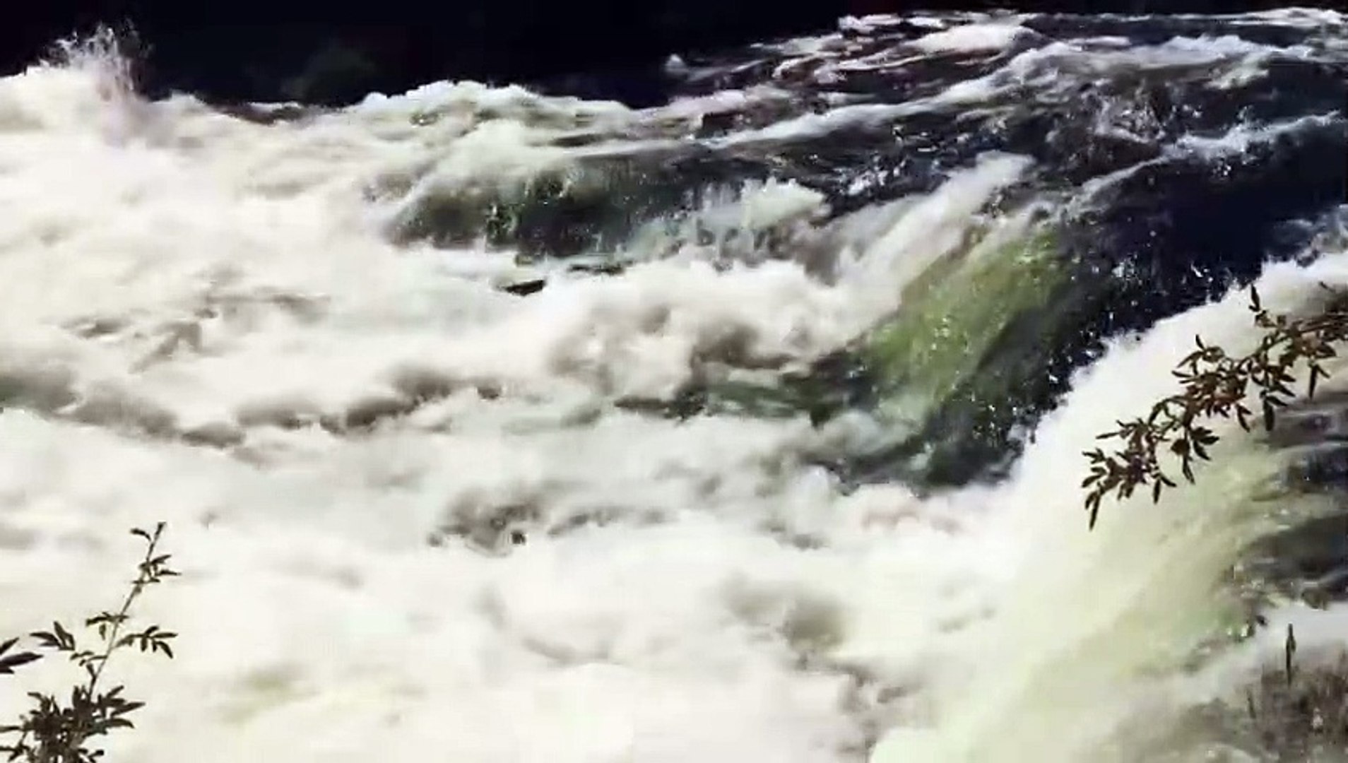 Relaxing Music , Calm Music, Meditation Music, Yoga, Sleep Music, Study Music, Healing Music.nature