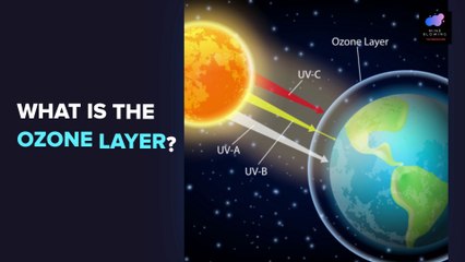 SAVE THE PLANET | WORLD OZONE DAY! 