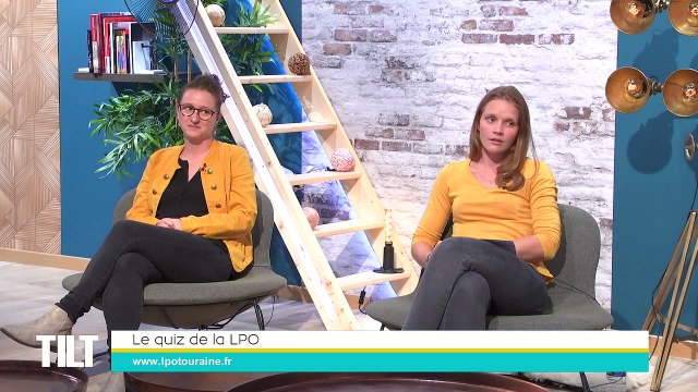 TILT - 27/09/2021 - 2/3 - Étudiants, jeunes diplômés, une maison de l'orientation à l'université