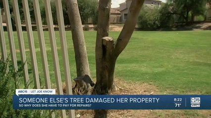 Valley woman faces dilemma after someone else's tree damages her property