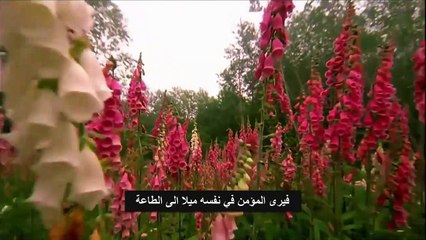 12. نصائح هامة لعامة شباب الامة - صالح المغامسي - معرفة الله - اروع مقطع ستسمعه ف حياتكHD