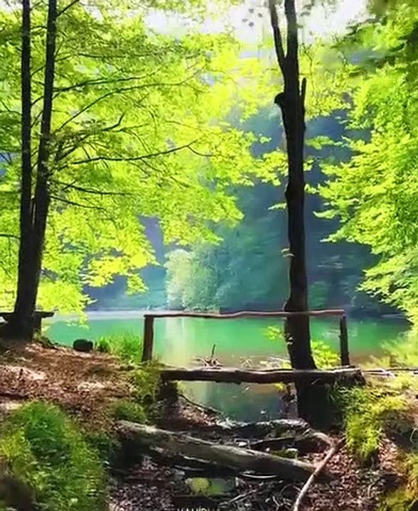 شاهد جمال الخالق - منظر روعة مريح للعين Watch the beauty of the creator