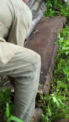 DIY membuat lemari dari kayu bekas