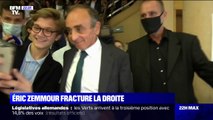 Le cas Éric Zemmour fracture la droite