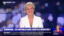 Nadine Morano: Éric Zemmour a 