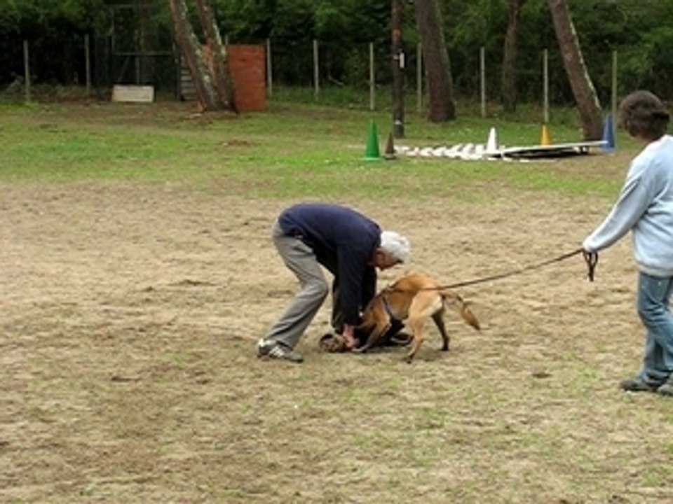 attaque Caïane