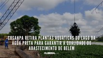 Cosanpa retira plantas aquáticas do lago da Água Preta para garantir a qualidade do abastecimento de Belém