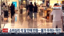 소비심리 석 달 만에 반등…물가 우려는 여전