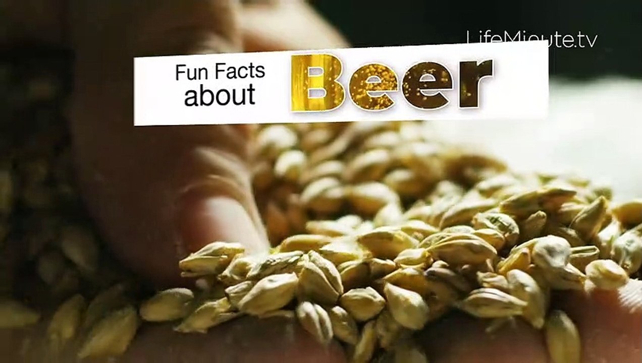 10 Fun Facts about Beer