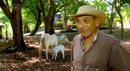 mqn-Don Isidoro dejó la ciudad para internarse en la montaña-270921