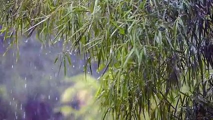 alfatihah  merdu | pengantar tidur | indah