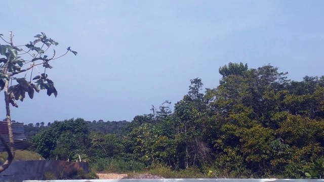 Boeing 737-800 PR-VBG na aproximação final antes de pousar em Manaus vindo de Fortaleza