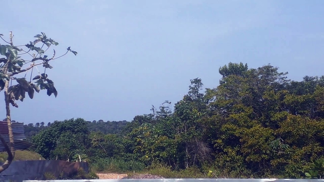 Boeing 737-800 PR-VBG na aproximação final antes de pousar em Manaus vindo de Fortaleza