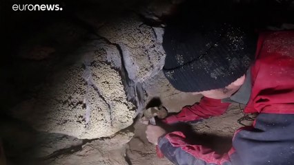 Tải video: Descobertos restos mortais de Neandertais numa gruta perto de Roma