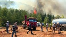 Incendi in mezza Europa. Sud Italia, Grecia e Turchia le zone più colpite