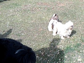 rencontre siou blanc video 4