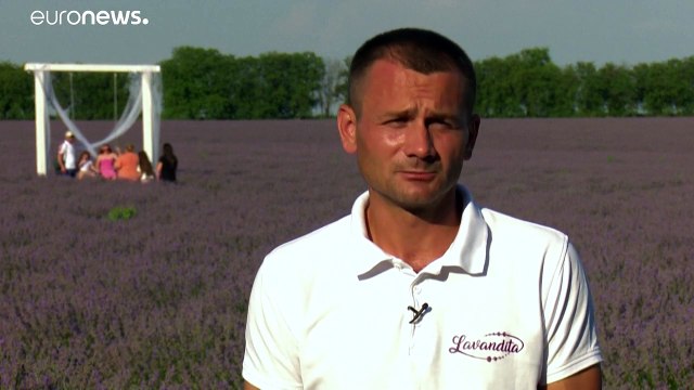 Молдавская лаванда борется за международное признание