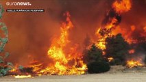 Griechenland: Gemeinsam mit Rumänien gegen die Waldbrände