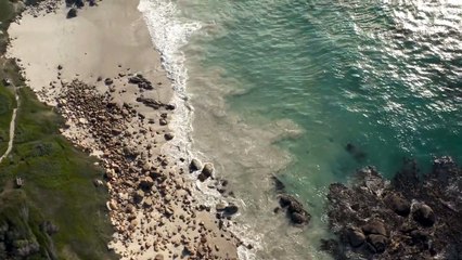 Relaxing music for vlog no copy right