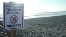 California beaches closed after oil spill