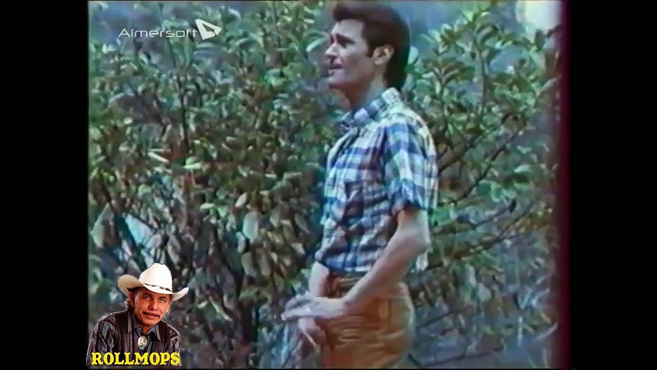 " HOMMAGE A VINCE TAYLOR R.I.P MON CHER AMI A++ROLLMOPS "