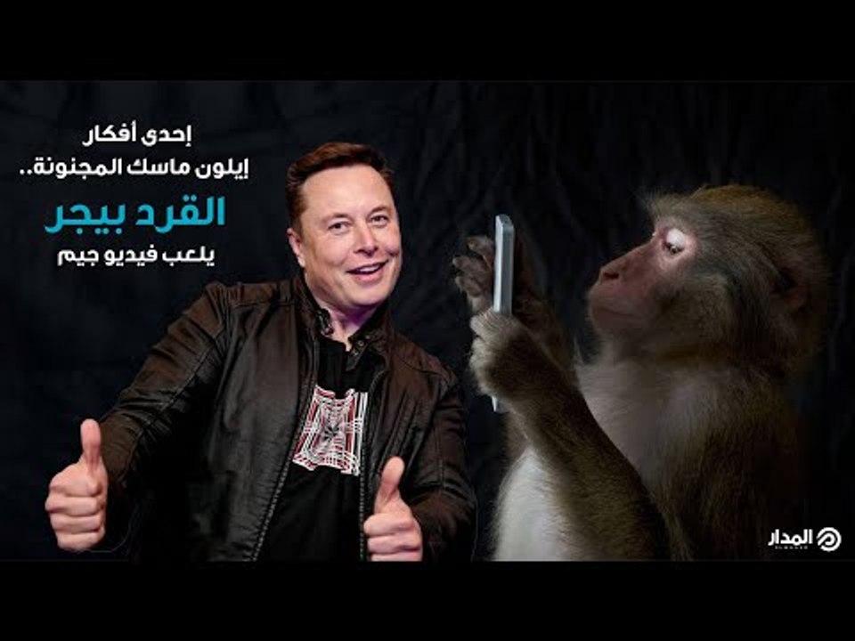 من اللمبي 8 جيجا لقرد إيلون ماسك.. شريحة المخ خيال يتحقق على يد ملياردير أمريكي | الكبسولة