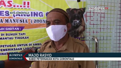 Puluhan Hewan Di Vaksinasi Rabies