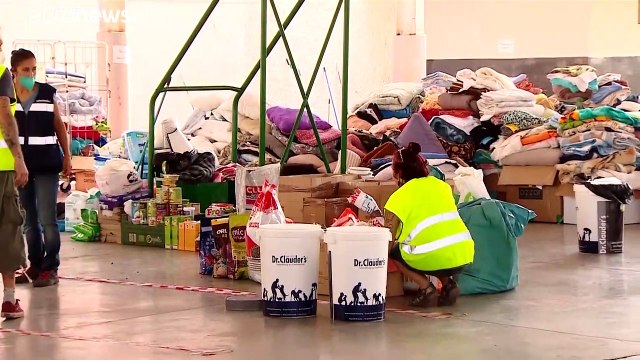 La Palma | Mascotas rescatadas bajo el volcán