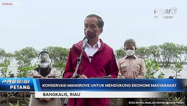 Presiden Jokowi Tanam Mangrove di Bengkalis, Riau