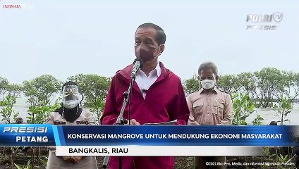 Presiden Jokowi Tanam Mangrove di Bengkalis, Riau