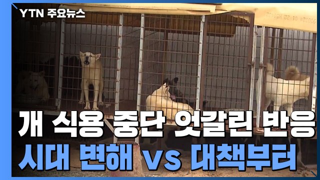 '개 식용 중단 검토' 엇갈린 반응... 환영 vs 대책 필요 / YTN