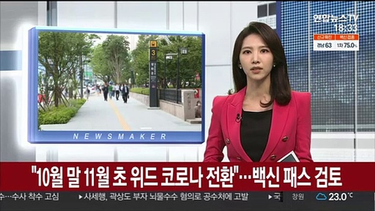 "10월말 11월초 단계적 일상회복 전환"…백신패스 검토