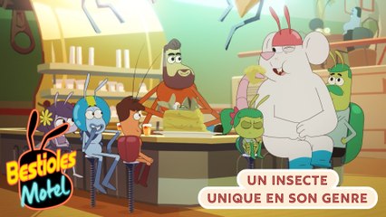 Bestioles Motel - EPISODE COMPLET : Un insecte unique en son genre