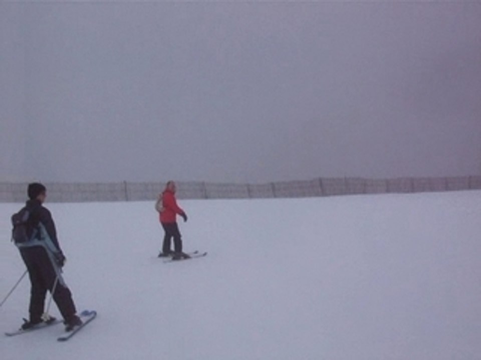 SKI 2008