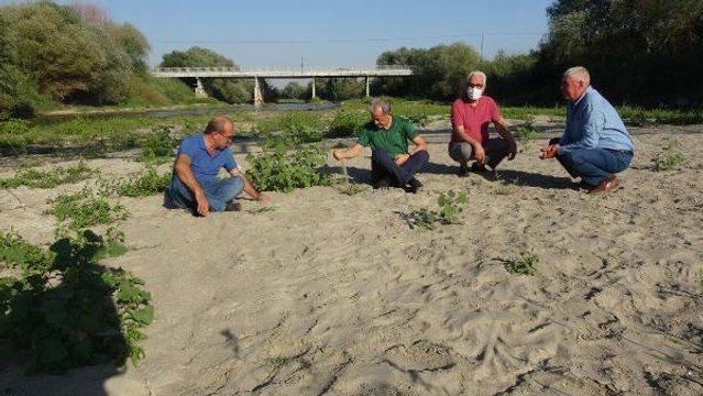 KURUYAN BÜYÜK MENDERES NEHRİ'NİN YATAĞINDA BAĞDAŞ KURUP OTURDULAR
