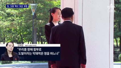 北, 한 달새 3번 담화 3번 도발…靑, ‘도발’ 빼고 유감 표명