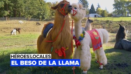 Héroes locales: el beso de la llama
