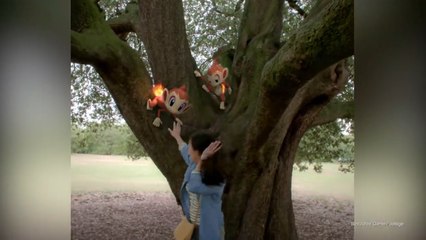 Pokemon GO Community Day: Chimchar