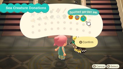 Animal Crossing: New Horizons - How to swim and get a Wet Suit