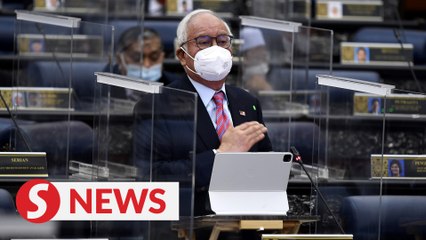 Keep current conditions for existing longtime participants of MM2H, says Najib