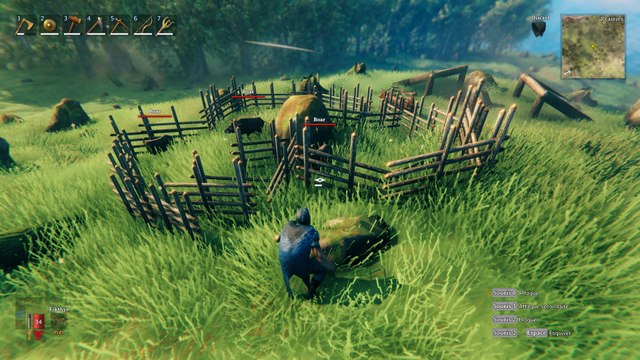 Valheim: Guía para domar jabalíes, cebo y como lograr que se reproduzcan