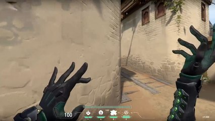 Valorant: Viper Toxic Screen Bug