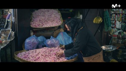 Las huellas de ElBulli