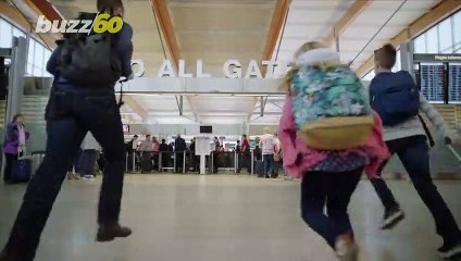 Turtle Disrupts Air Traffic at Japan’s Narita Airport