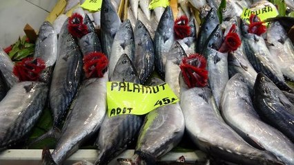 ÇANAKKALE'DE BALIK TEZGAHLARINDA BOLLUK YAŞANIYOR