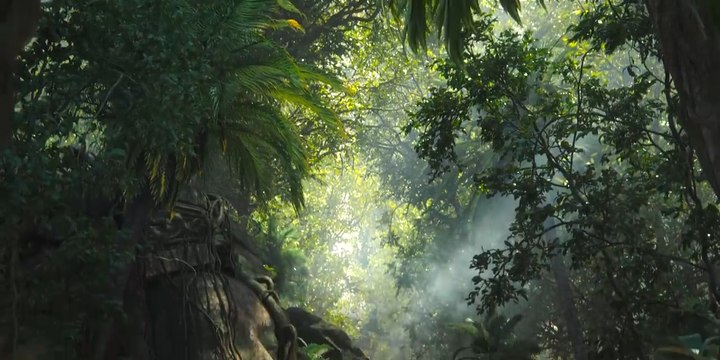 Warzone: ¿Qué está pasando con Verdansk? Ahora aseguran que el nuevo mapa llegará en abril