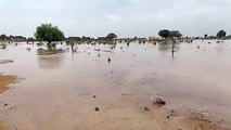 जैसलमेर में 61 एमएम बारिश, शहर तरबतर
